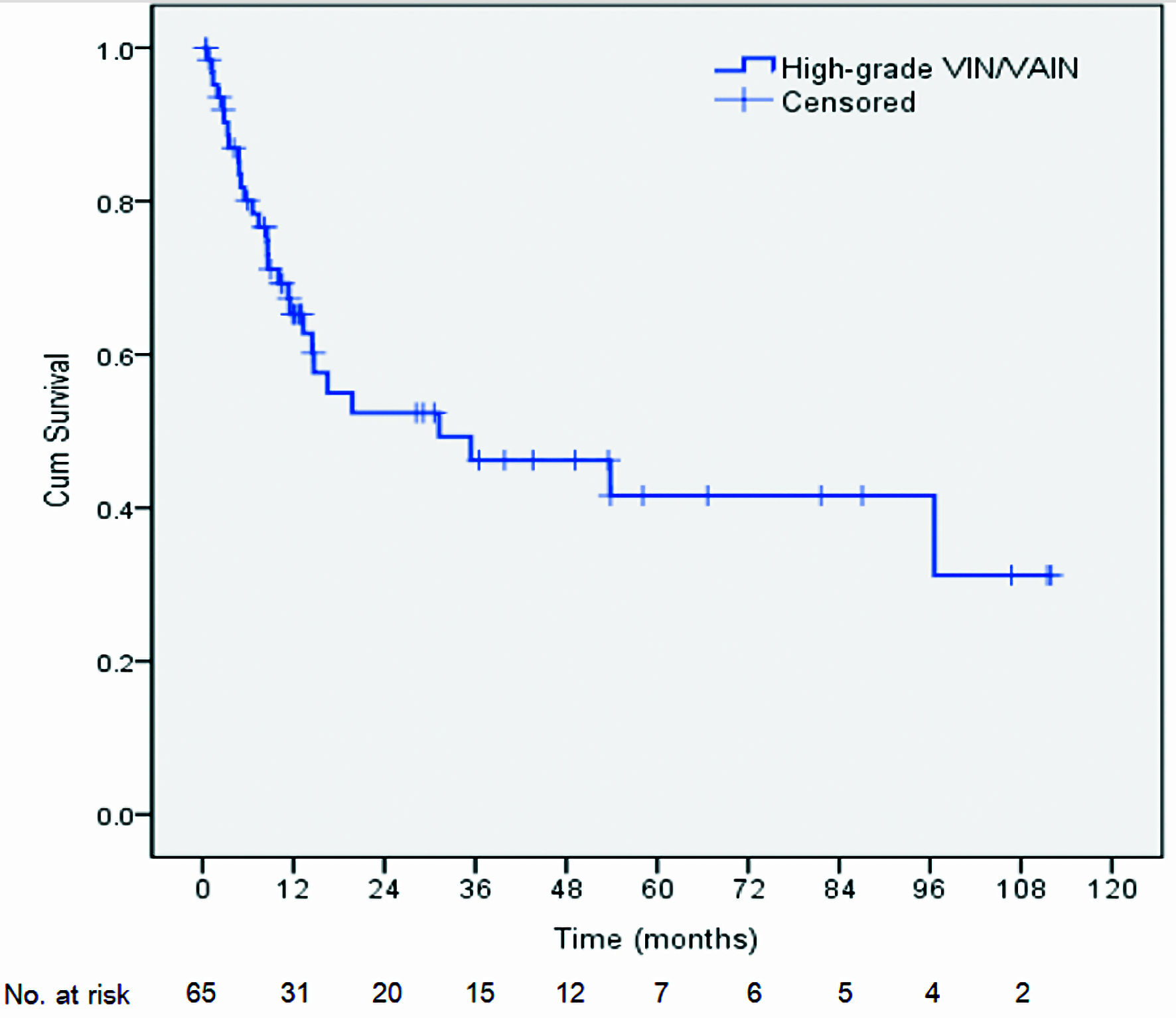 Laser Ablation Vulvar Intraepithelial Neoplasia at Lisa Hunter blog